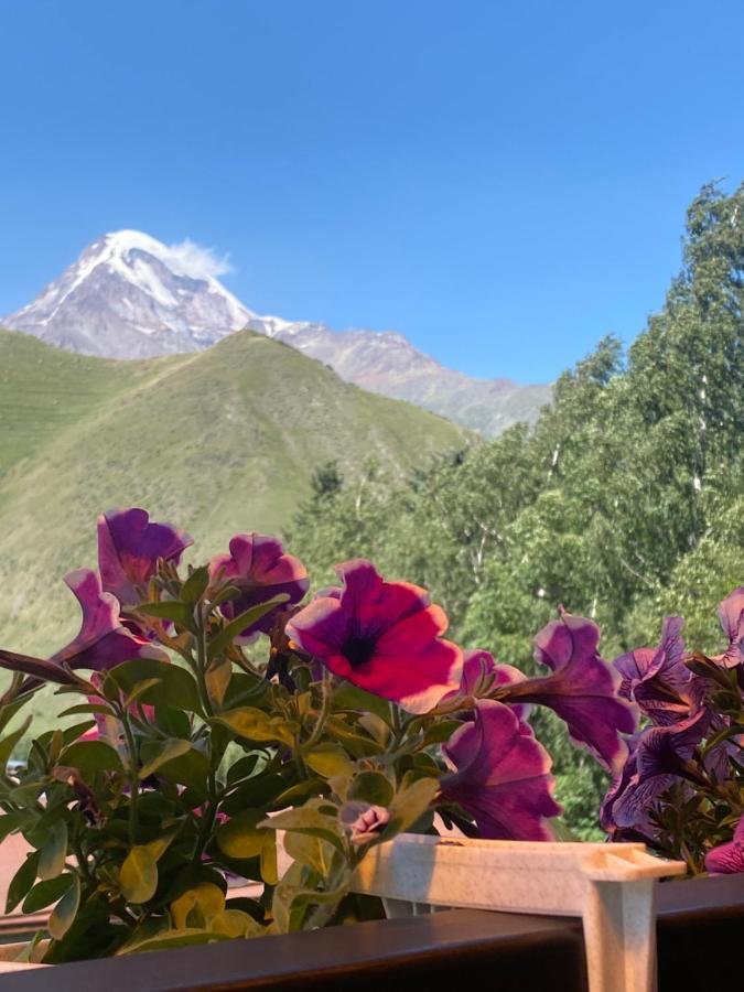 Hotel Elegant Kazbegi Esterno foto